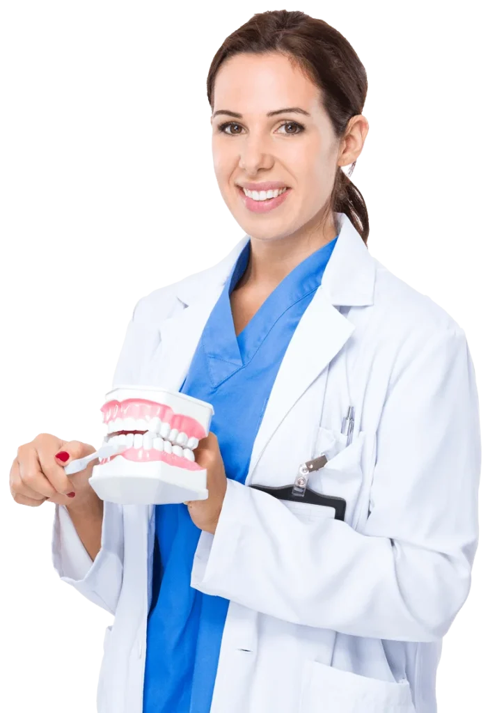 Zahnärztin zeigt Zahnmodell zur Zahnpflege