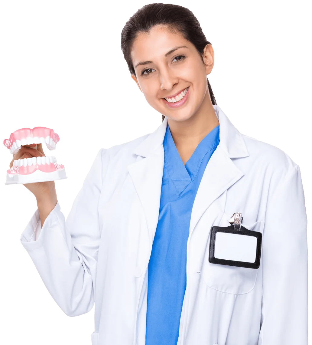 Zahnärztin hält Gebissmodell und lächelt freundlich