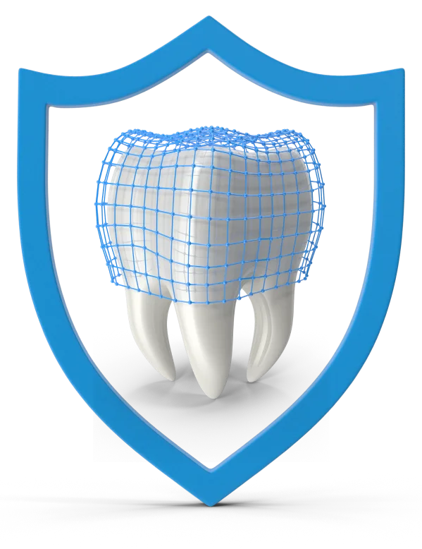 Schutzschild für gesunde Zähne
